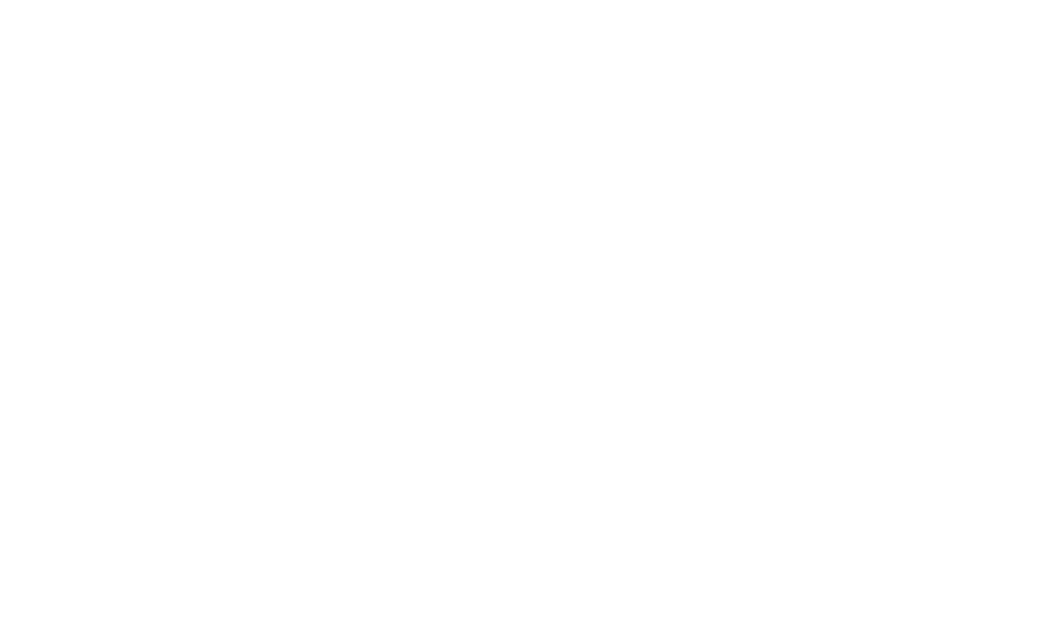 the social brand white logo